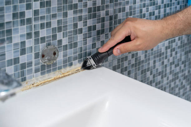 Best Toxic Mold Removal  in College Place, WA